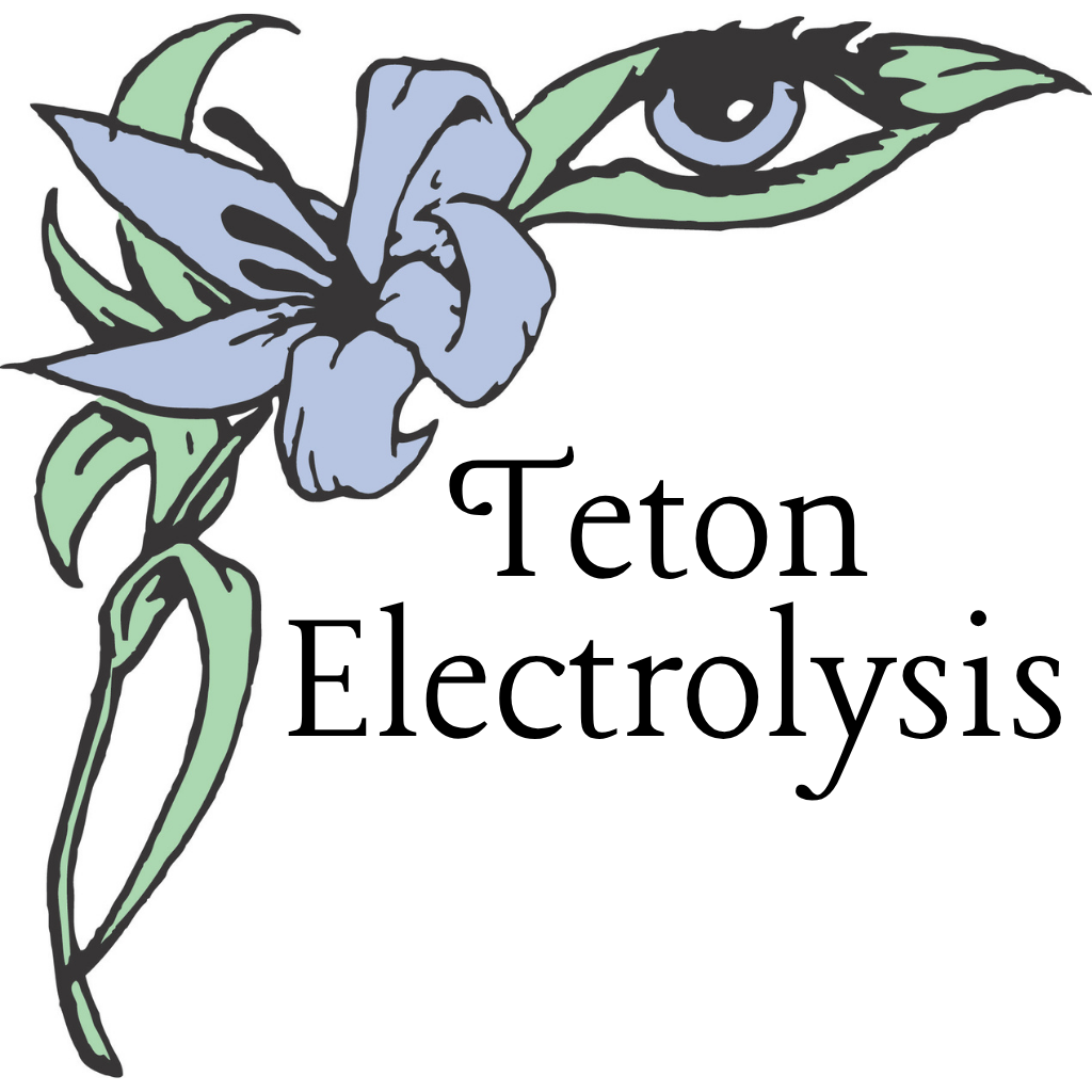 Teton Electrolysis